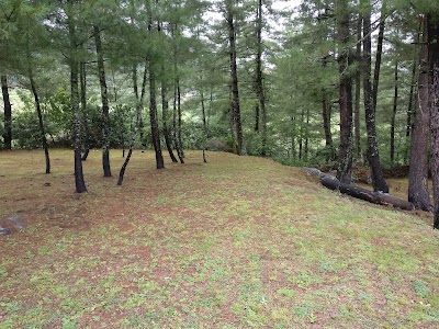 Photos of Amankora Hotel Paro