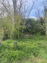 Photo n°4 de Roanne Terrassement à Riorges (Entreprise de terrassement)