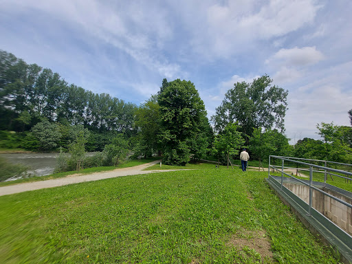 Dog Area - Pellerina - Thumbnail