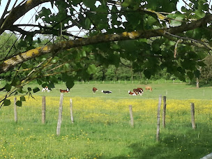 Photo n°17 de La Ferme du Marais à Ceyzérieu (Restaurant)