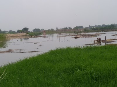 Photos of Ruksir Bil রুকসীর বিল