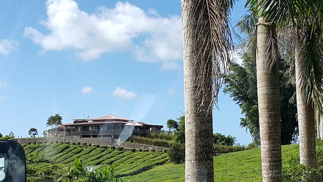 Bois Cheri Tea Factory