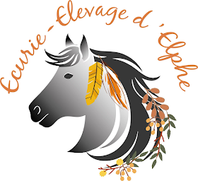 Photo n°3 de Ecurie - Elevage d'Elphe à Cartelègue (Éleveur de chevaux)