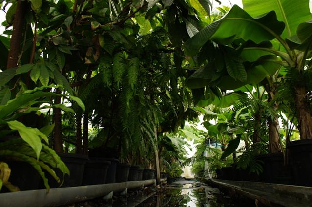 奥飛騨ファーム