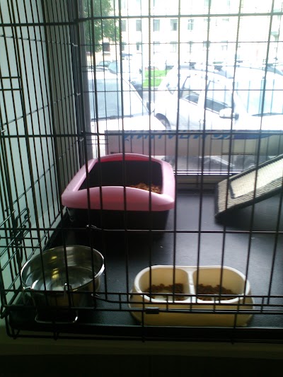 Photos of Veterinarnaya Klinika "Siniy Krest"