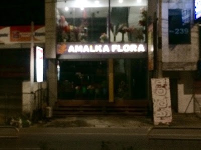 Photos of Amalka Flora