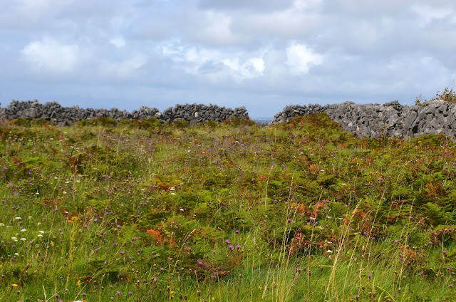 Aran Islands