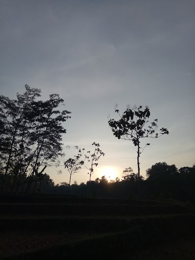 park