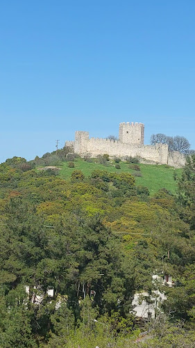 Η ταβέρνα της Χαρίκλειας/Taverna Xarikleia