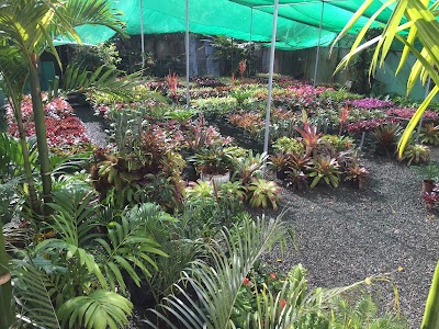 Photos of Jardines Paraiso