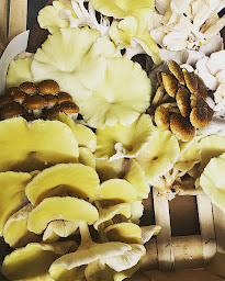 Photo n°29 de JG Creations à Louviers (Charpentier)