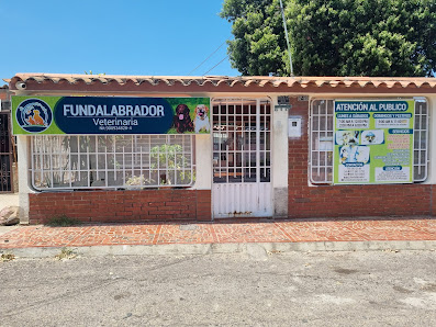 Fotografía de CLINICA VETERINARIA LOS LABRADORES PET CARE S.A.S Todas