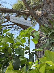 Photo n°10 de Chez Marie à Sérignan-du-Comtat (Hébergement)
