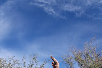 martin tree service reviews