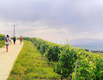 ESSENTIEL' LEMAN - Organisation de stages Detox et Vitalité en frontière suisse à Divonne-les-Bains