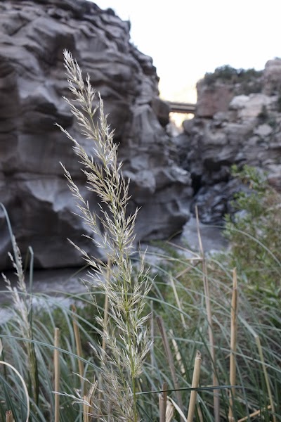 Photos of El Cajon Del Maipo