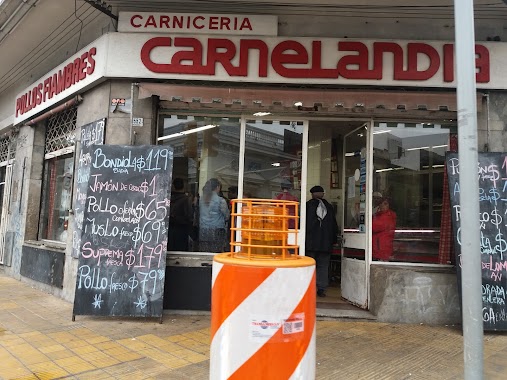 Carnicería Carnelandia, Author: Nahiara Pereira