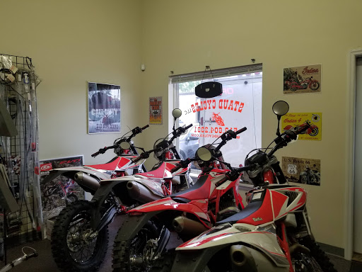 Staud Cycles - Visual