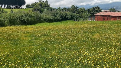 Photos of Ambiental Municipal R&iacute;o Loro Park