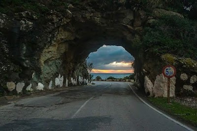 travel-agency