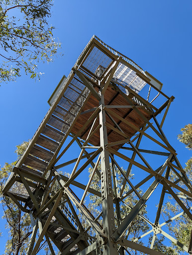Roy Marika Lookout - Thumbnail