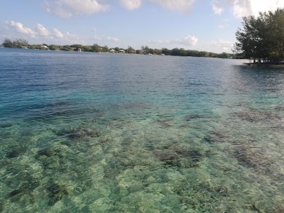 Photos of Utila Cays Diving