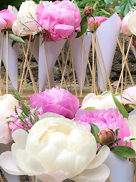 Photo n°41 de Estel Fleurs à Carcassonne (Service de plantes d'intérieur)