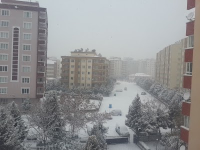 Photos of Dinlenme Parkı