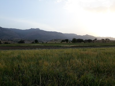 Photos of Tafan Qaradagh