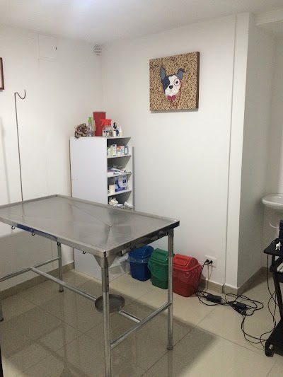 Photos of San Agustin Centro Veterinario