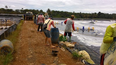 Photos of Kimberly Borneo Resource