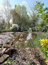 Photo n°18 de Jardin des 4 temps à Kutzenhausen (Jardin)