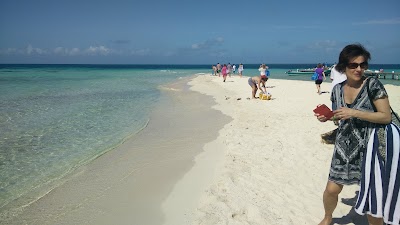 Photos of Ecological Tours & Services