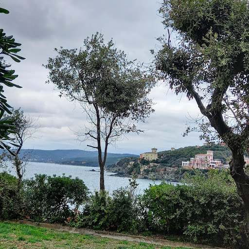 Torre Medicea di Castiglioncello - Thumbnail