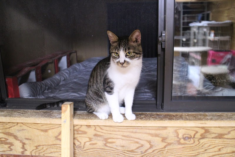 （株）犬猫プラネット