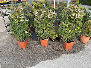 Photo n°3 de Favre Horticulture à Arbent (Jardinerie)