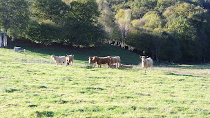 Photo n°25 de Domaine Les Teuillères à Sousceyrac-en-Quercy (Appartement de vacances)