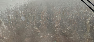 Photo n°17 de Garage Vigolo Vincent à Castets et Castillon (Atelier de réparation automobile)