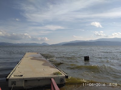 Photos of Xotic Beach