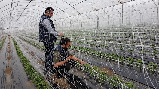 Azienda Agricola De Martino Via Mar Mediterraneo, 84098 Magazzeno SA, Italia