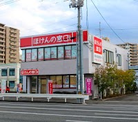 ほけんの窓口 岡山大元店