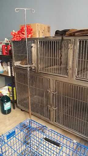 CENTRO VETERINARIO CINCINNATI - Thumbnail