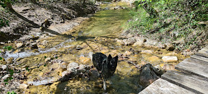 Photo n°60 de Camping Le Gallo Romain **** à Barbières (Restaurant)