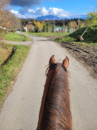 Photo n°1 de Association Mon Havre de Paix Equestre à Etaux (Association bénévole)