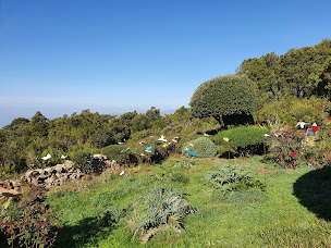 Photo n°4 de GITE U FORCONE à Albitreccia (Lodge)