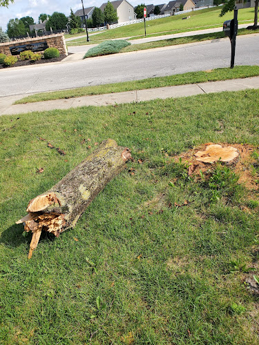 Canter Tree & Stump Solutions