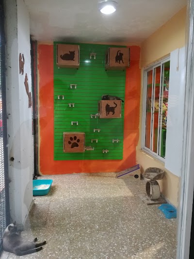 Photos of Pet Veterinary Medicine Clinic