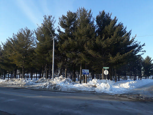 Parc Lamy - Visual
