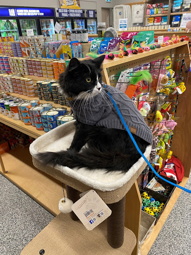 Pet Planet PrairieWest - Thumbnail
