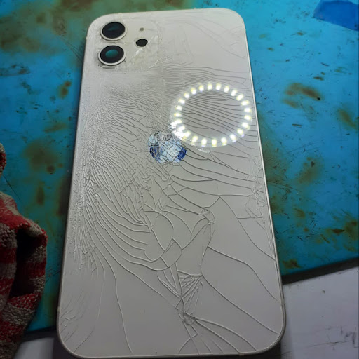 Gallery image 6
